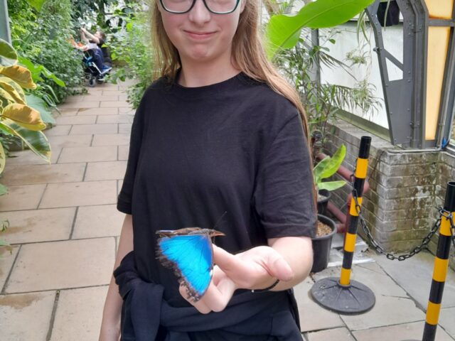 KS3 Learners Explore the Butterfly Gardens at Hall Place